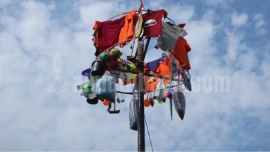 Anak-anak memanjat pohon pinang membawa bendera merah putih saat lomba kemerdekaan Indonesia.
