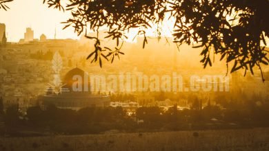 Kondisi Gaza 2025 yang hancur akibat konflik Palestina-Israel